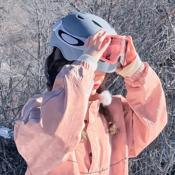 我的宠物是大象